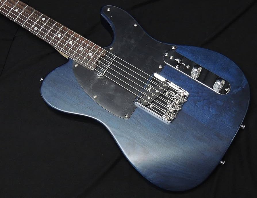 SCHECTER OL-PT-22 シェクター　テレキャス Amazon | SCHECTER OL-PT-22 PBT R シェクター テレキャスター